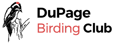 DuPage Birding Club